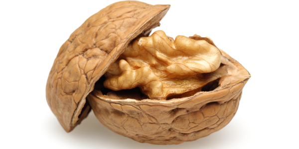 <strong>Put the kernel of your story into a nutshell</strong>. That’s your nut graph. <a href="https://www.istockphoto.com/photo/walnut-gm174776421-22230717"><em>Image by kaanates</em></a>