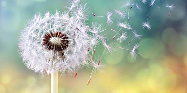 motivation-among-the-element-of-storytelling motivation-among-the-element-of-storytelling